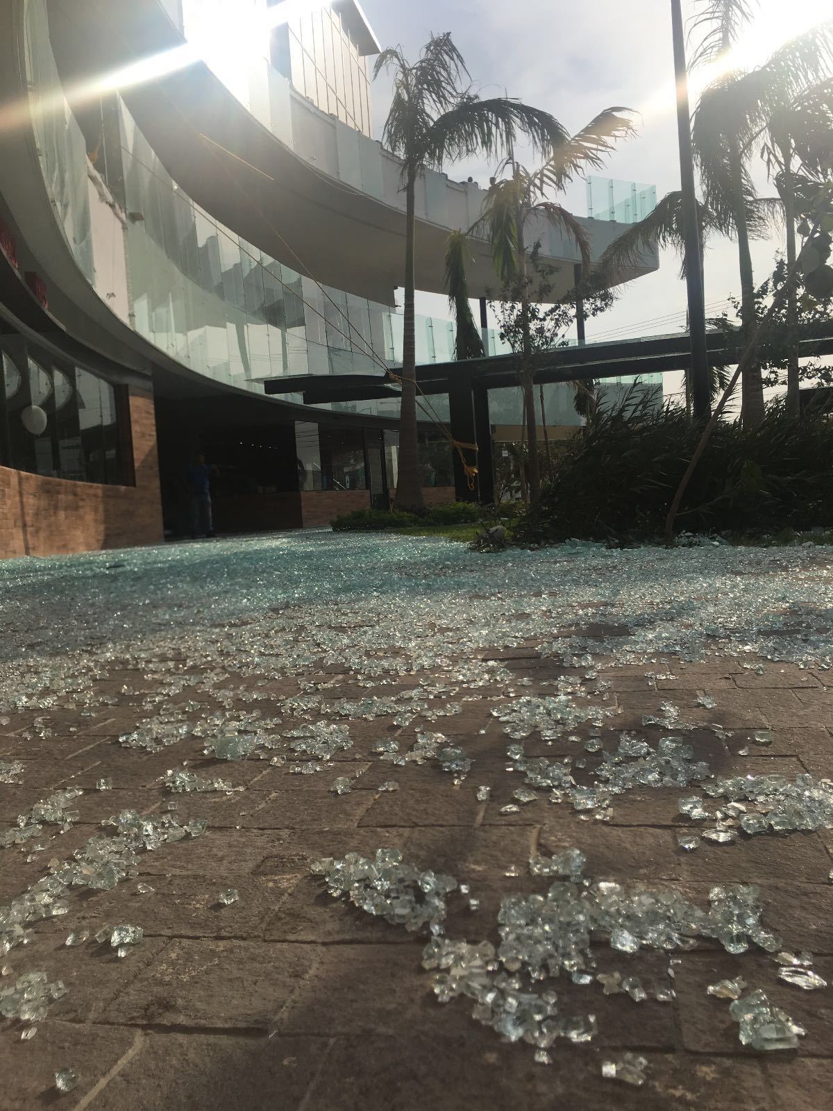 Imagen 3 de Peritaje de sistemas de cerramiento ante siniestros.